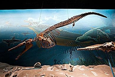 投资人谈《黑神话》：新销量会很快公布 冯骥是艺术家