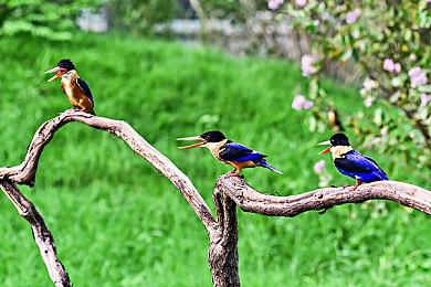 生活模拟角色扮演游戏《Consume Me》Steam页面开放 发售日待定